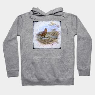 Mrs. Redwing Steps Out Hoodie